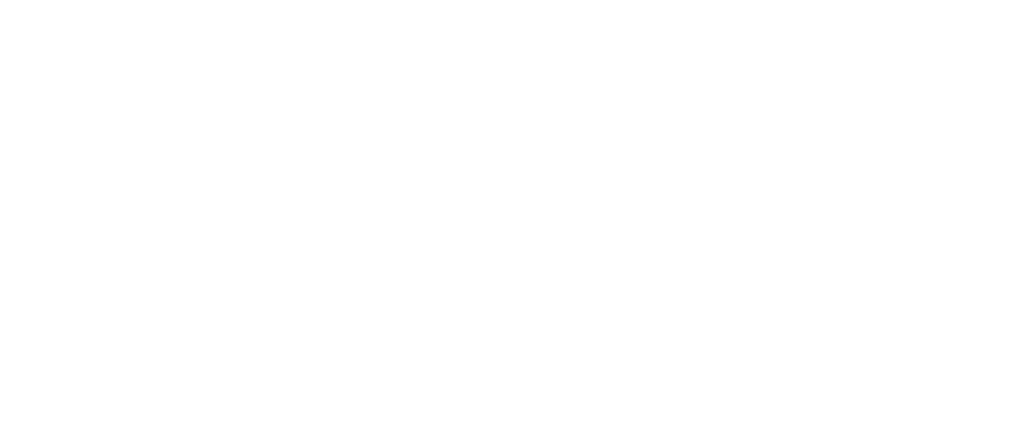 Logo NEUMAGRO