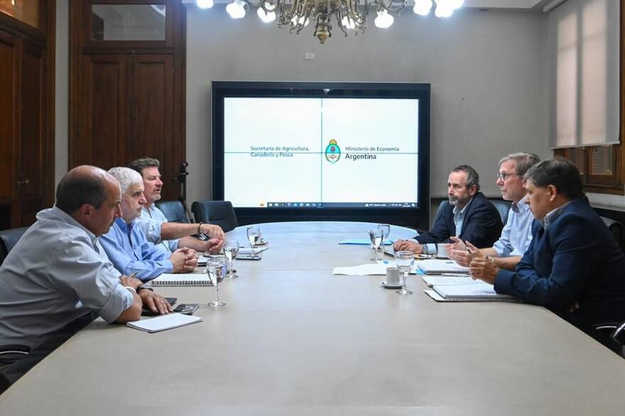 frente-a-frente-fernando-vilella