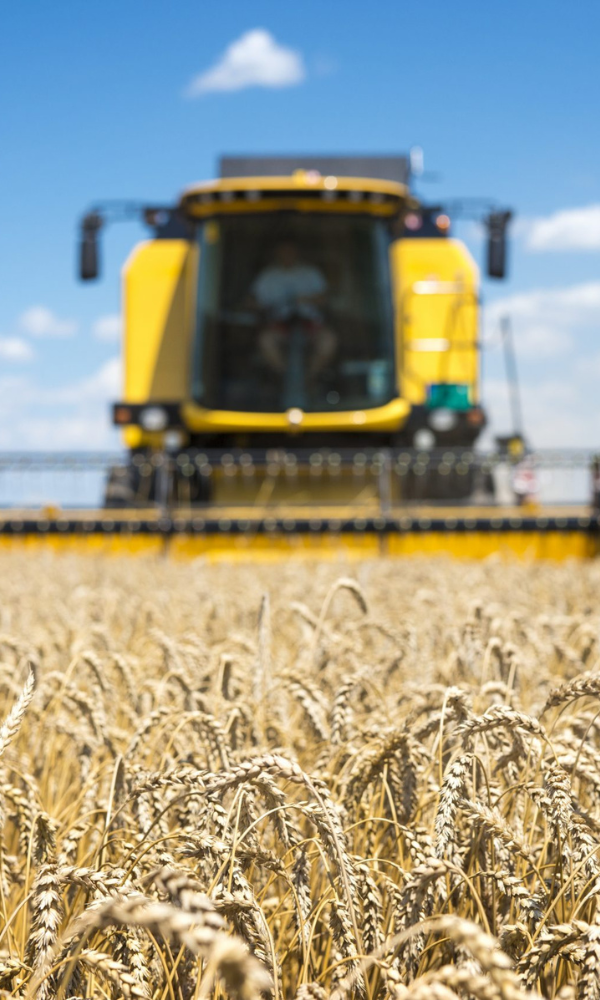 Agricultura conservacionista