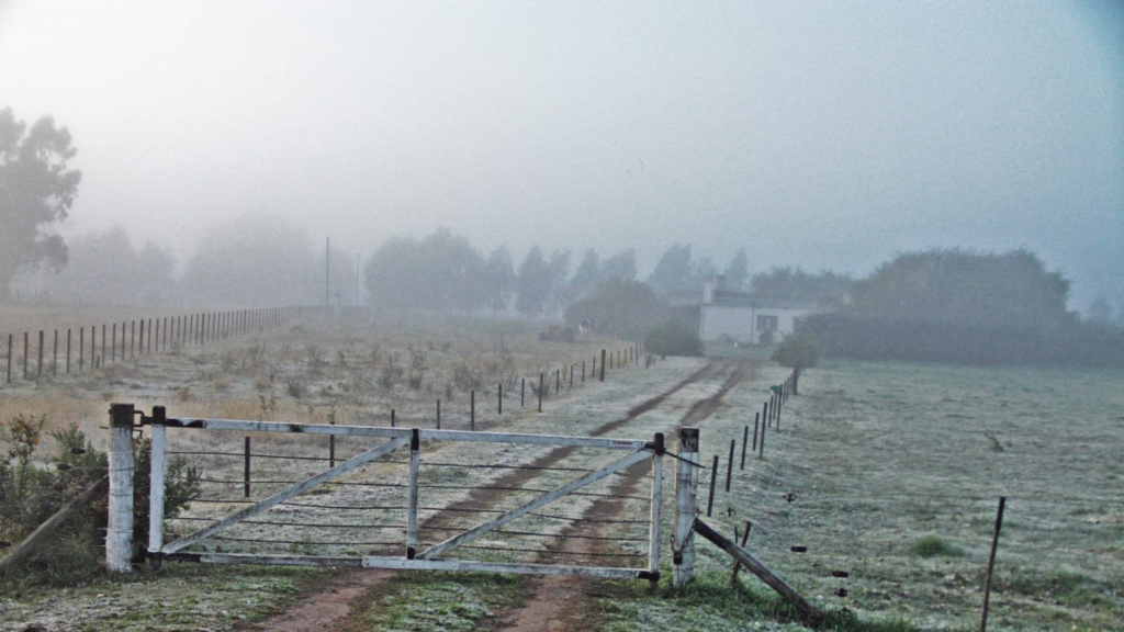 Comienzan las heladas en los campos