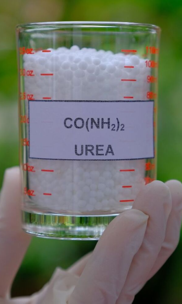 La importación de urea es record.
