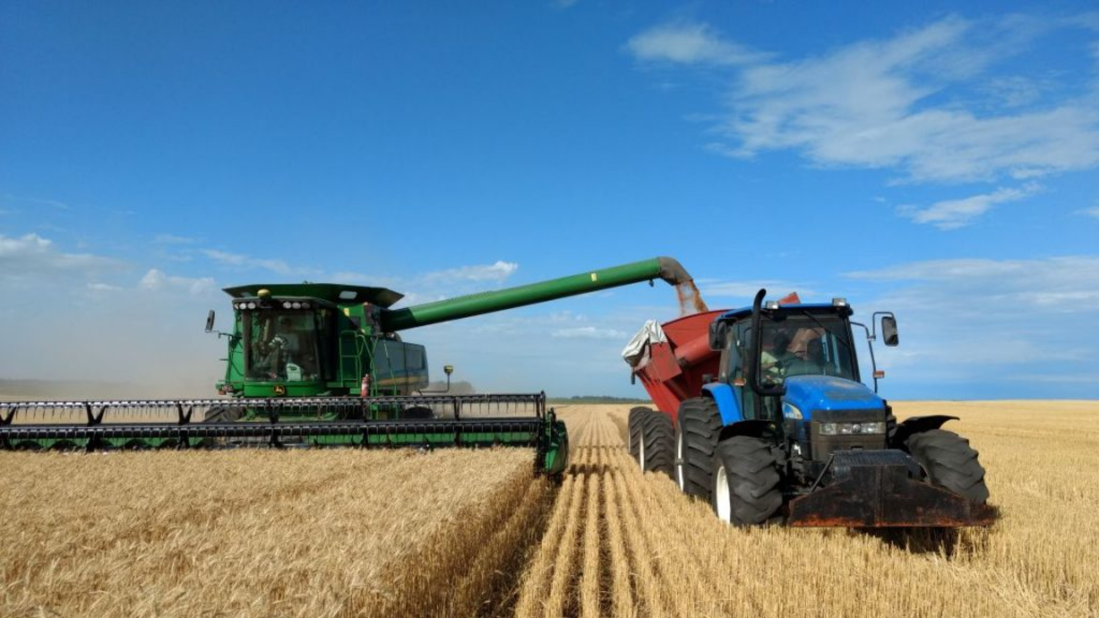 Las relaciones de compra del trigo a cosecha son favorables para la aplicación de fertilizantes