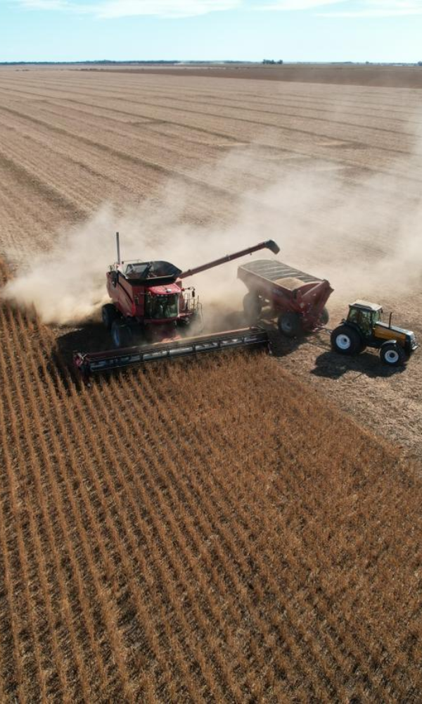 Se espera que el clima colabore con la cosecha